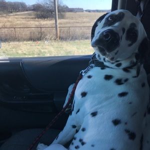 Meet your Posher, Jared